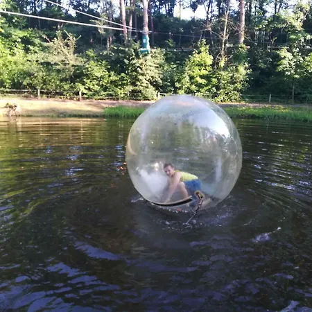 In - Balaton 20369 * Zamardi