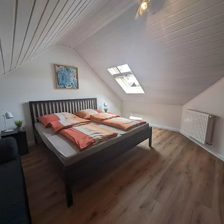 In - Balaton 20369 Zamardi